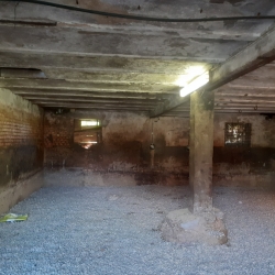 20210505_104444.jpg